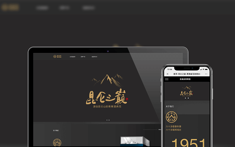 酒业网站建设-逸码科技打造案例